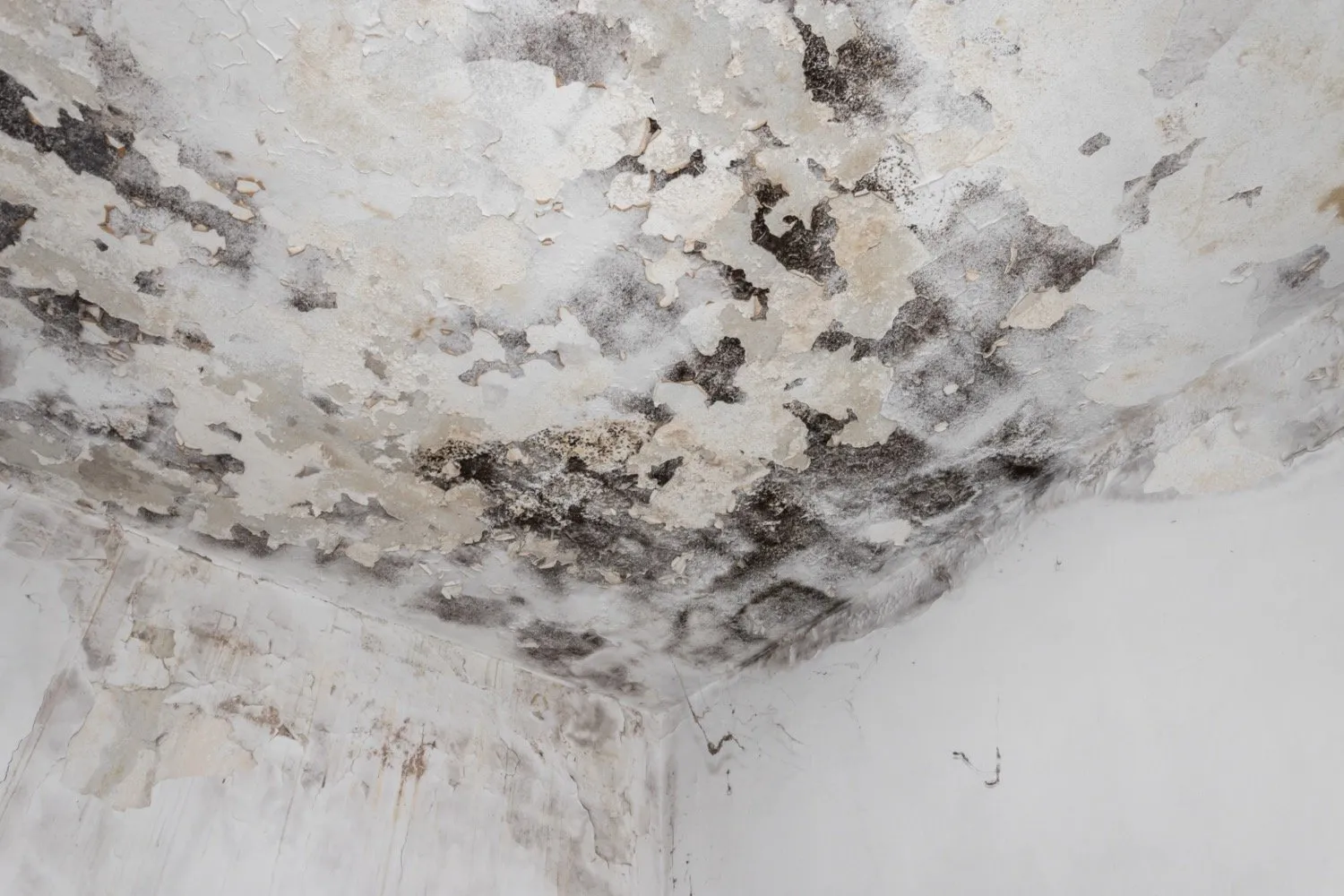Insight Commercial Restoration