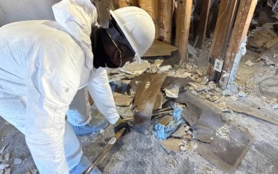 firecleanup